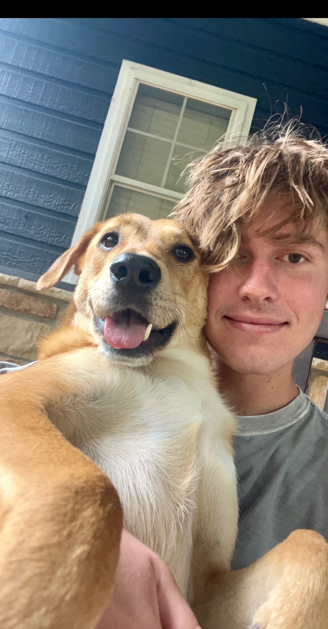 Hayden Hollister - Critter Watch dog walker in The Woodlands, TX