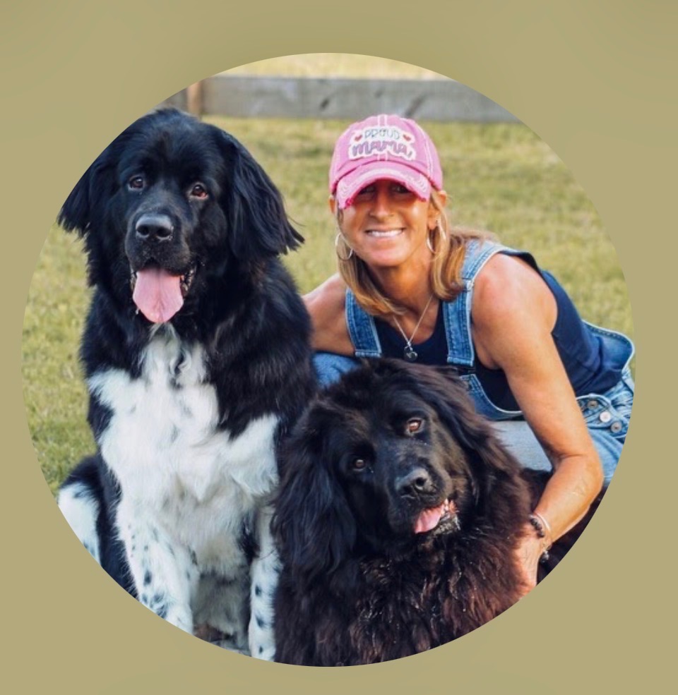 Keli Shaffer - Critter Watch pet sitter and dog walker in The Woodlands, TX